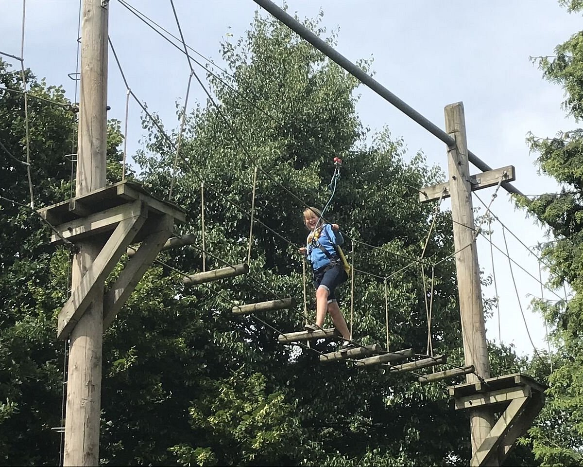 tree top trek trafford