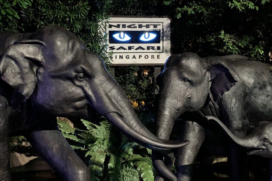 singapore zoo to night safari distance