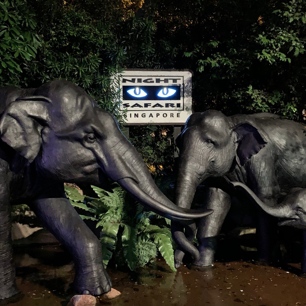 night safari location singapore