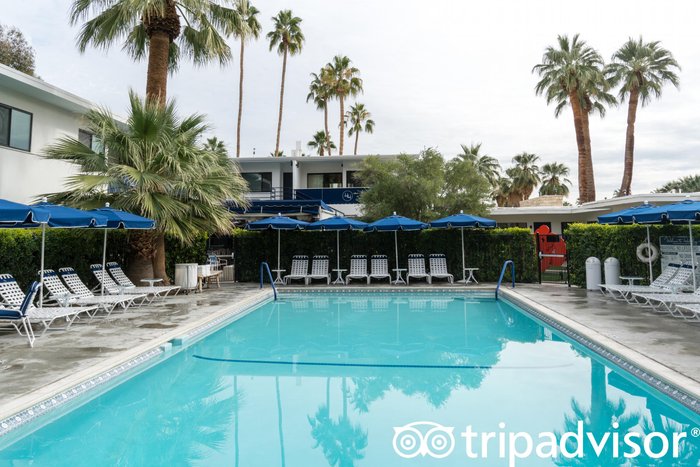 Holiday House Palm Springs Pool: Pictures & Reviews - Tripadvisor