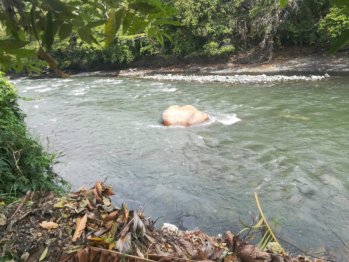 Rio Negro Rafting, Tobia: лучшие советы перед посещением - Tripadvisor