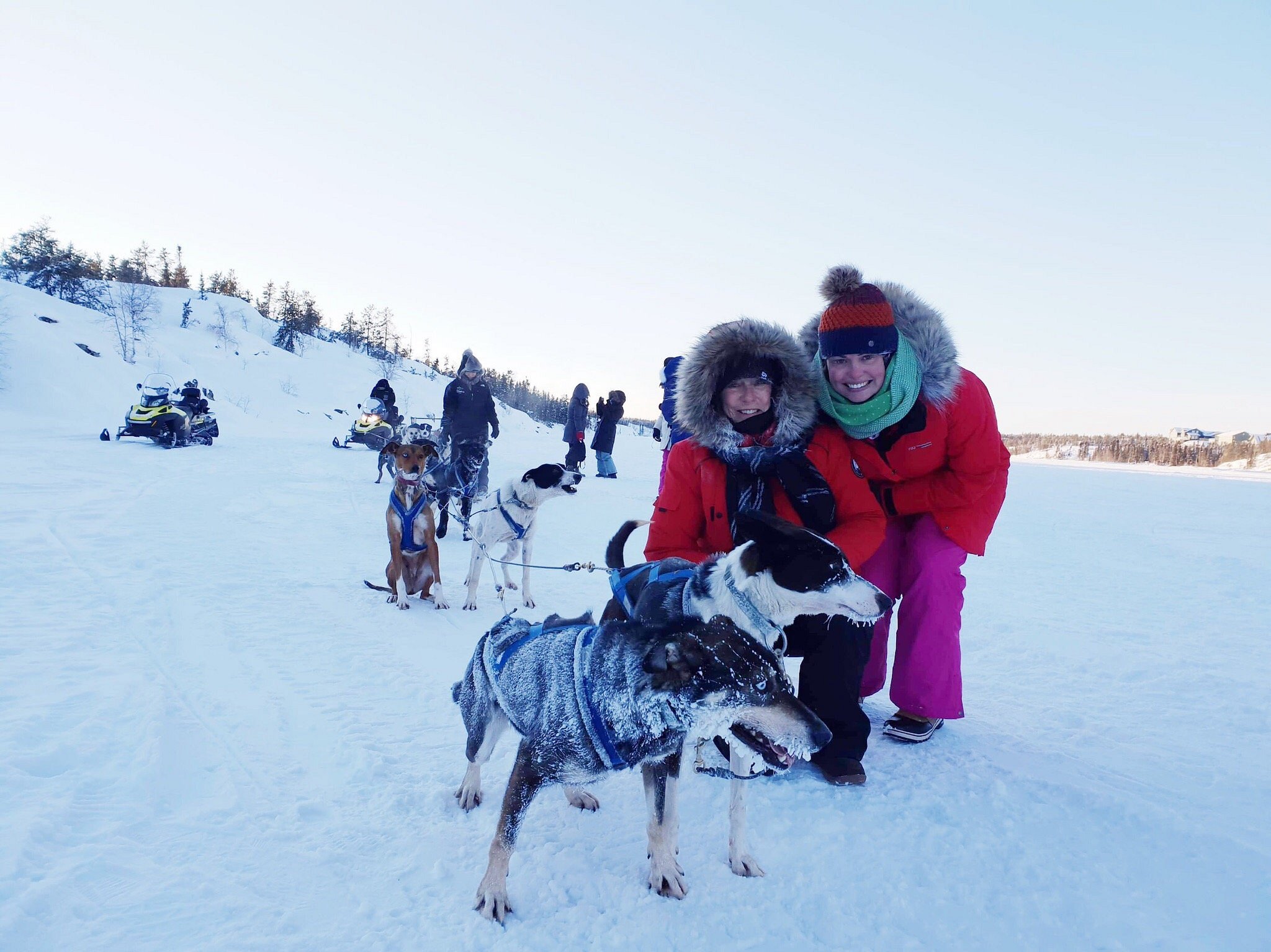 beck's sled dog kennels & tours