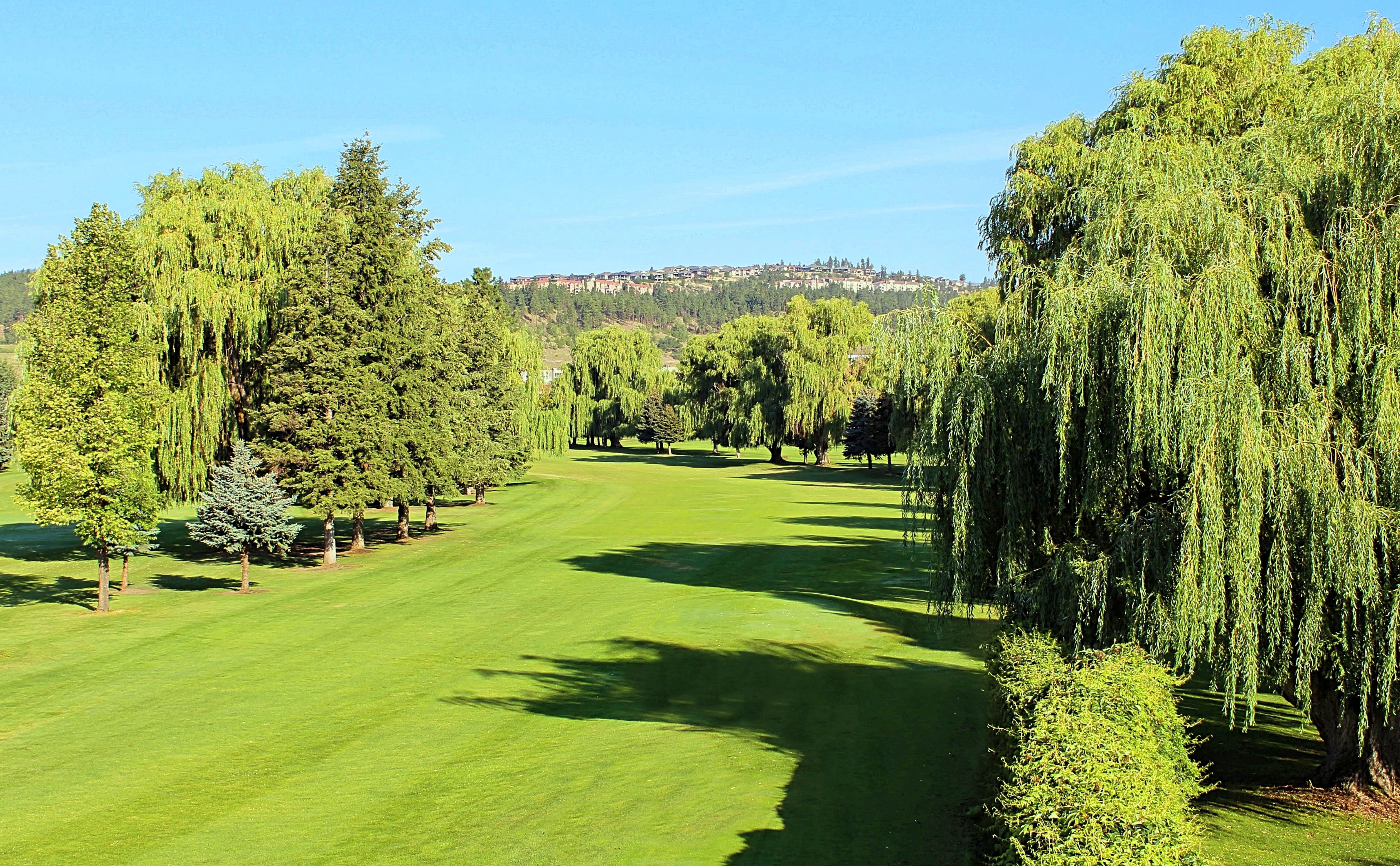 Kelowna British Columbia All You Need To Know Before You Go 2024   2018 Golf Season Follow 