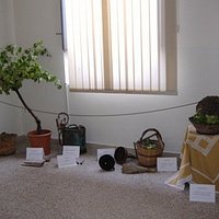 interno Museo