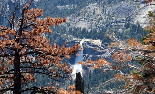 Glacier Point 