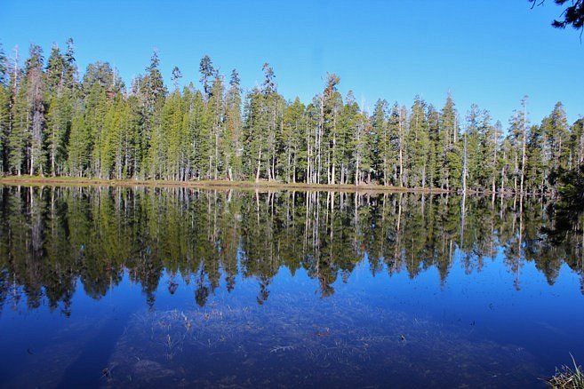 Siesta Lake (Yosemite National Park) - All You Need to Know BEFORE You Go