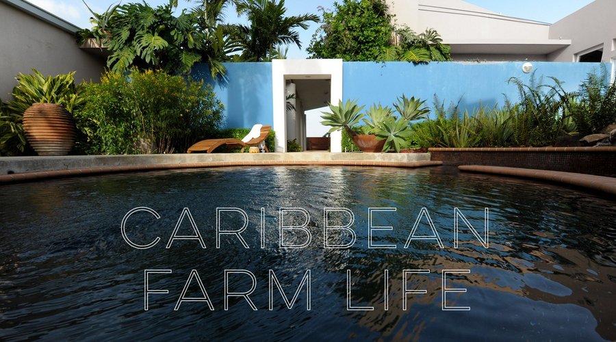 Caribbean Farm Life @4casitas