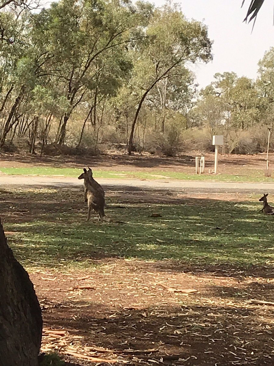 VICTORY PARK CARAVAN PARK: 2020 Reviews (Wilcannia ...