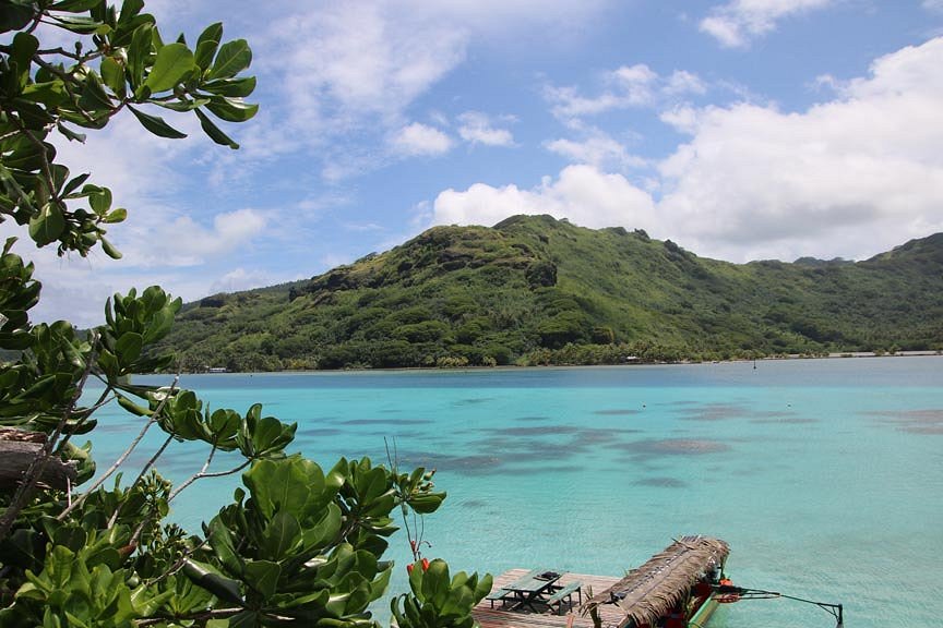 huahine dream tours avis