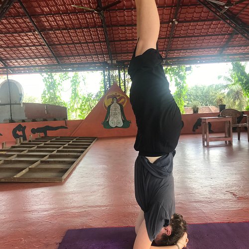 Mini's Yoga Vibes in Kakkanad,Ernakulam - Best Yoga Classes in
