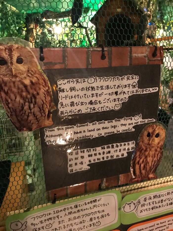 Imagen 3 de Owl House Asakusa