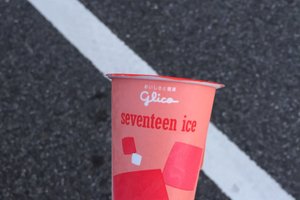 旅行者の写真
