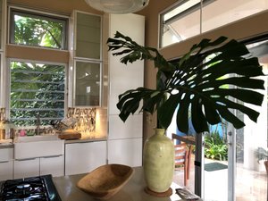 Room & Suite