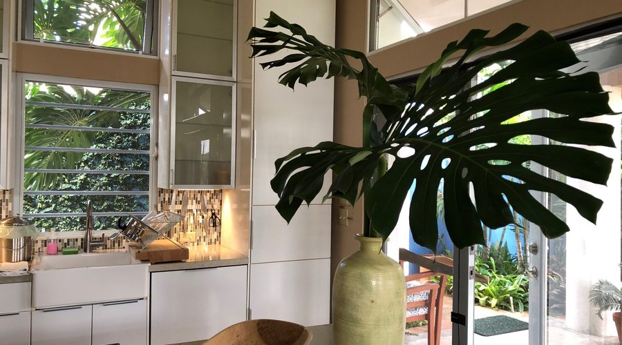Fresh flowers and beauty in each room!
