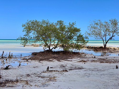 8 Lugares Mágicos de Quintana Roo 