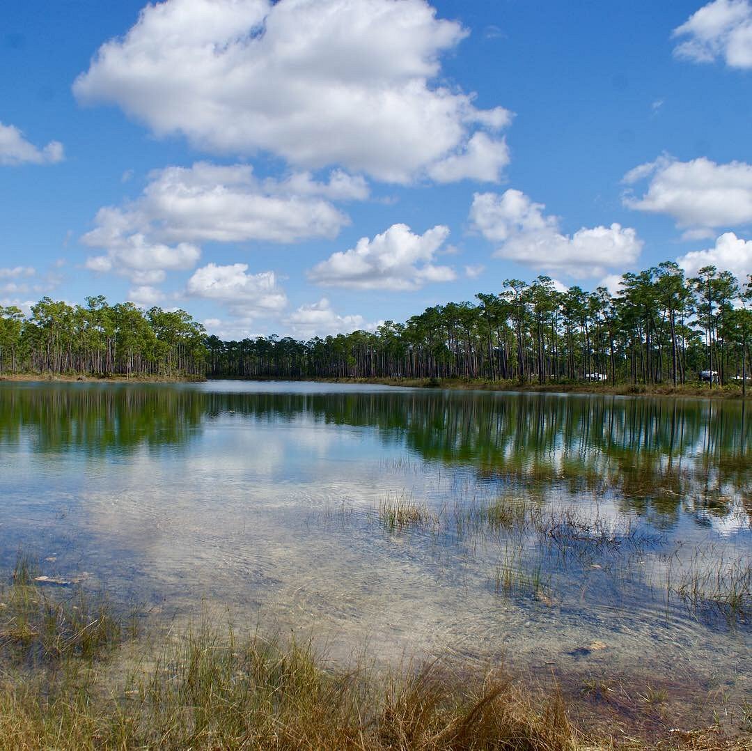 EVERGLADES NATIONAL PARK (Florida City) - All You Need to Know BEFORE You Go