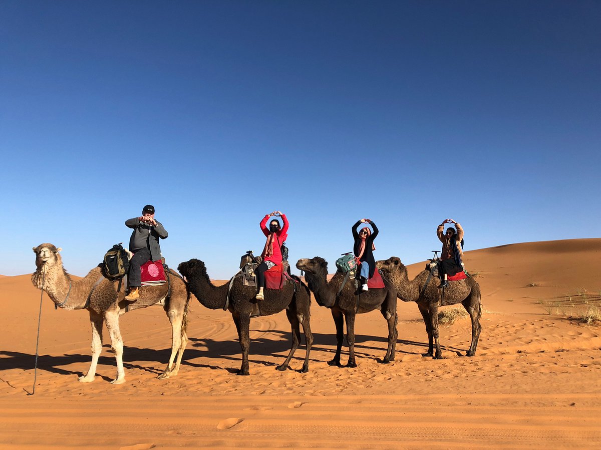 morocco dream tours