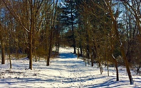 one of the trails