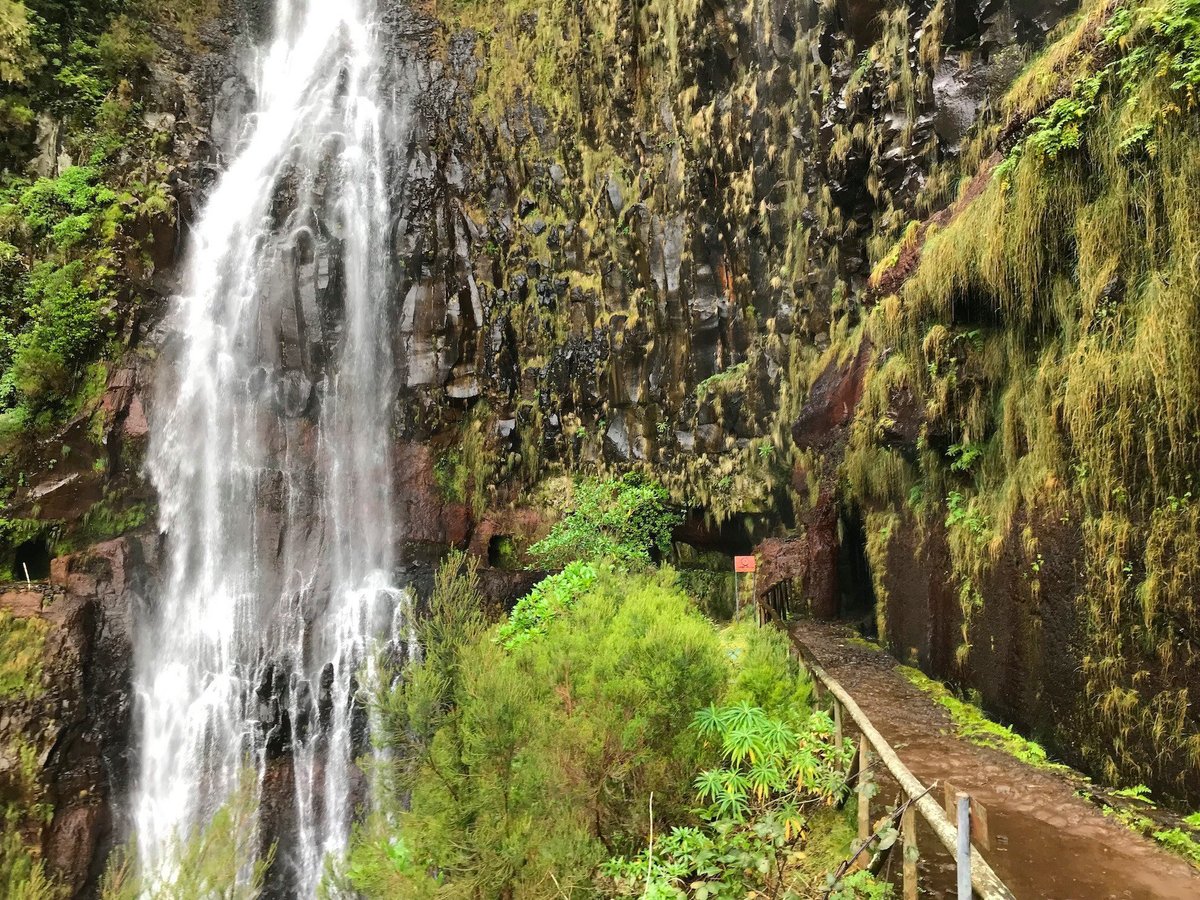 Levada do Risco, Кальета: лучшие советы перед посещением - Tripadvisor