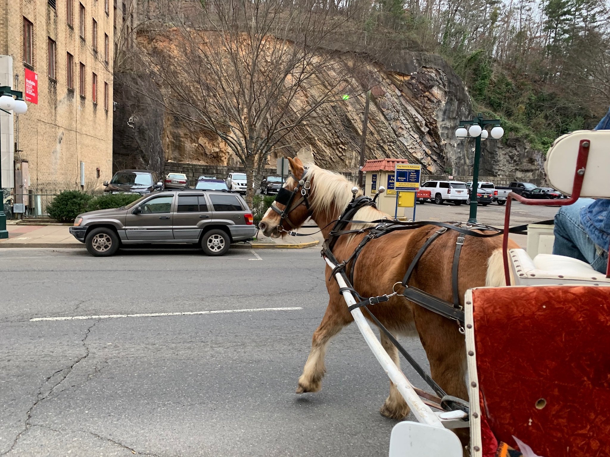 Hot Springs Carriage Company