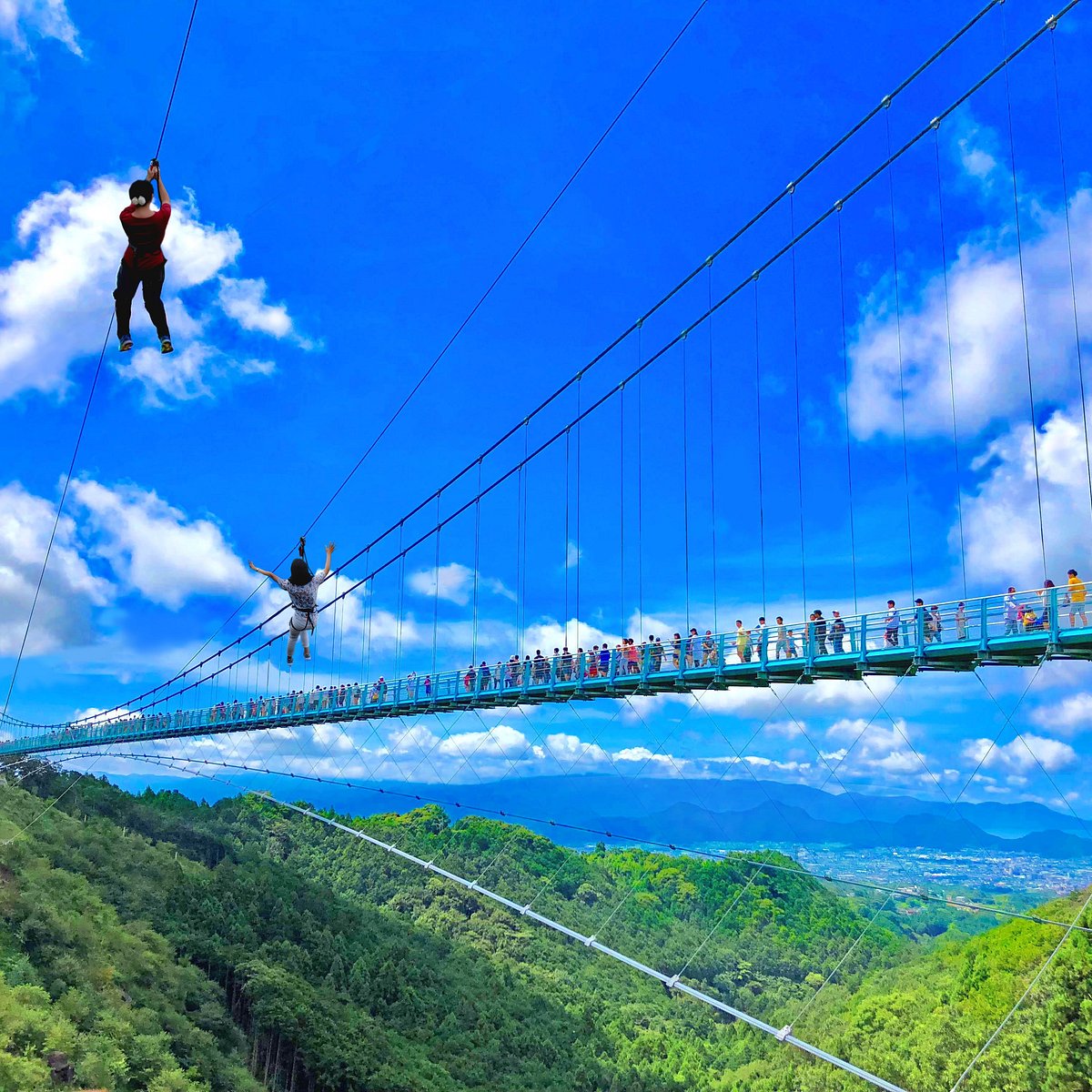 Forest Adventure Mishima Skywalk Atualizado 2022 O Que Saber Antes De