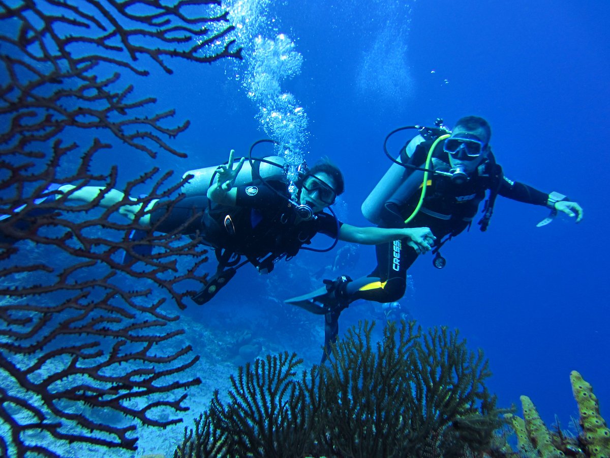 manati divers tulum