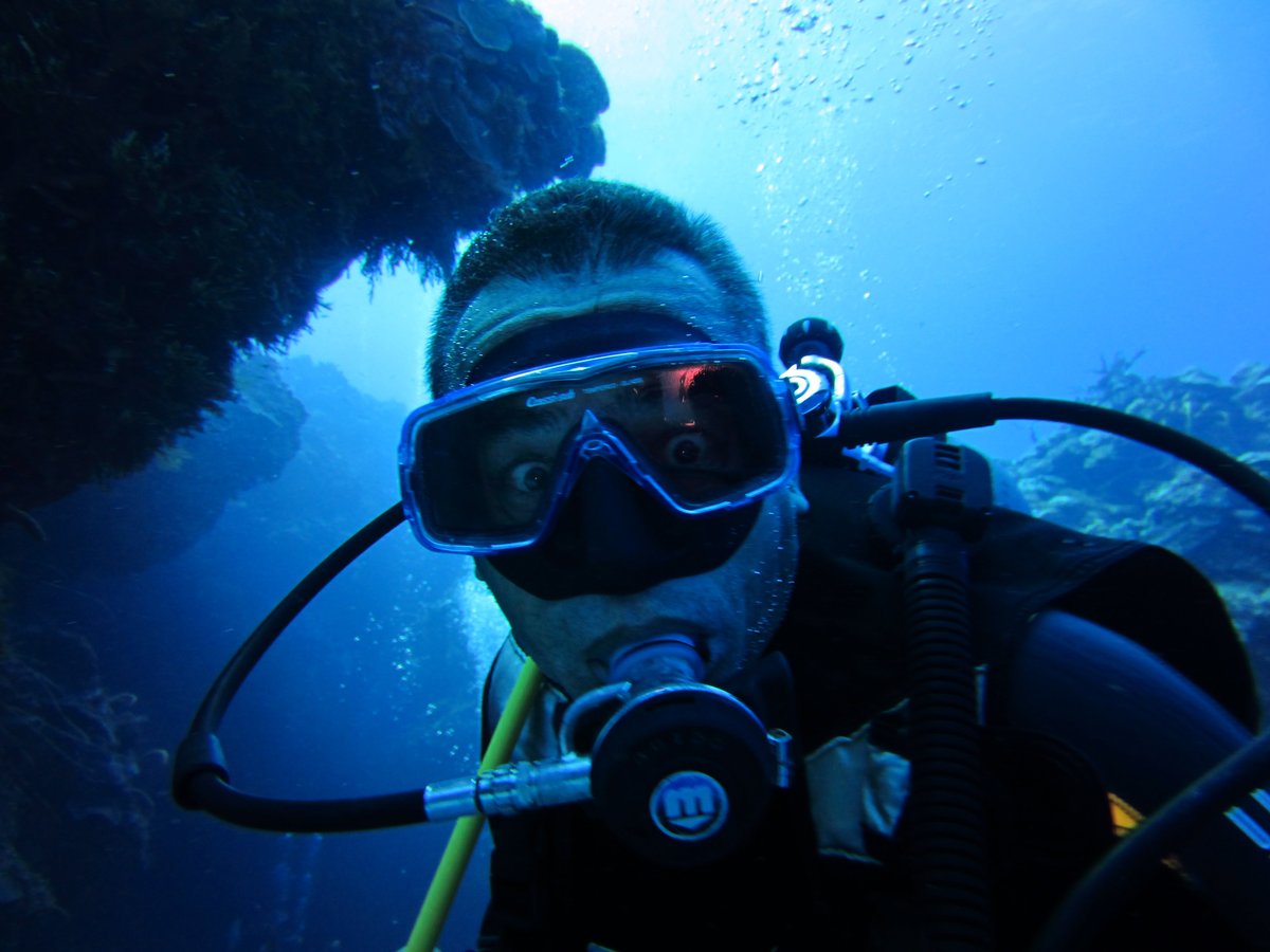 manati divers tulum