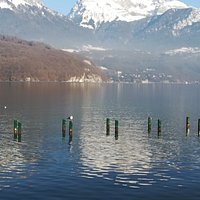 Vue sur le lac depuis les roselières