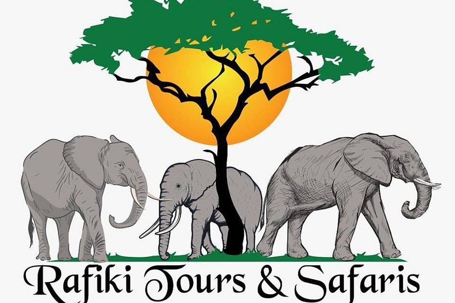 rafiki tours and safaris namibia