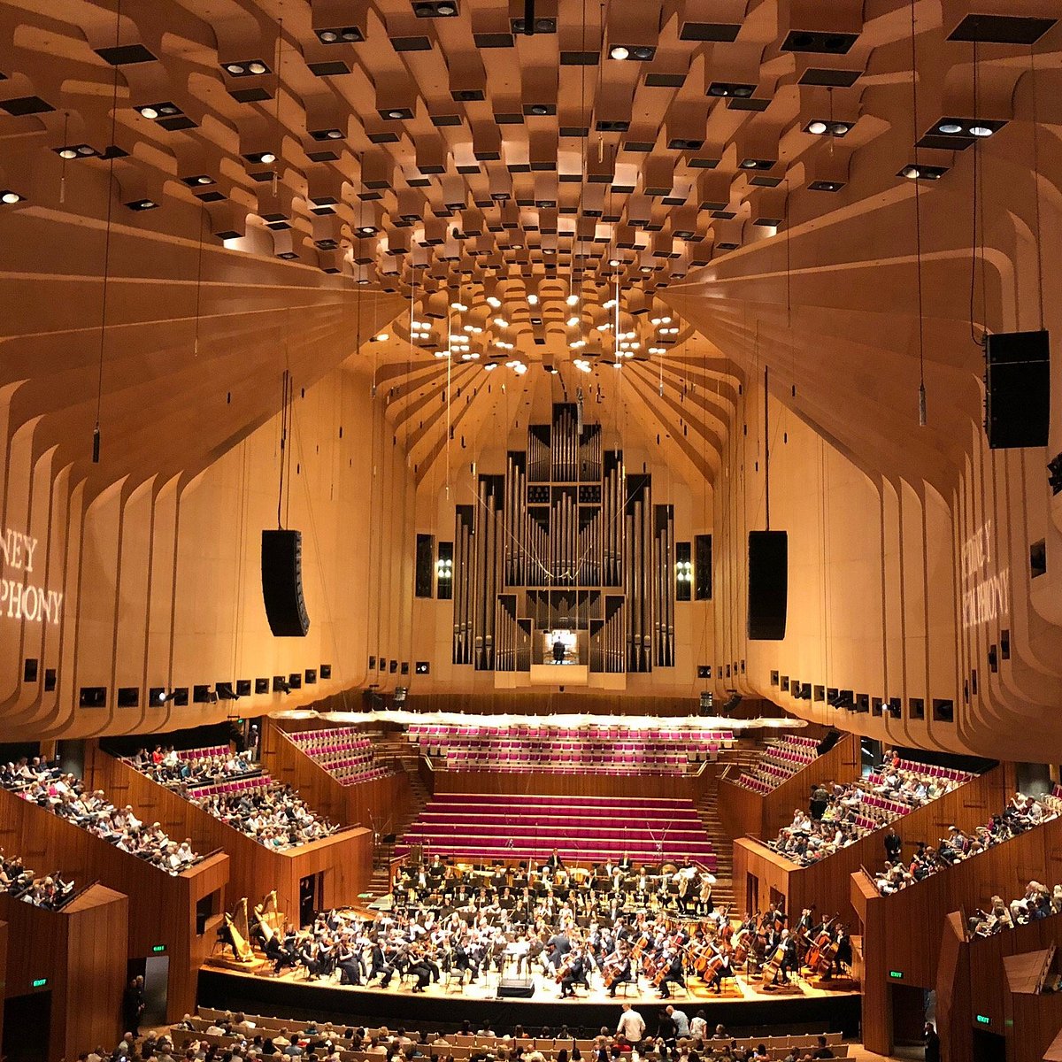 SYDNEY SYMPHONY ORCHESTRA 2022 What to Know BEFORE You Go