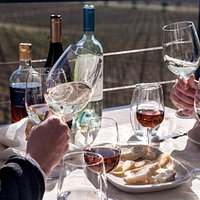 Provas de Vinho harmonizadas com queijos locais
Wine& Cheese experience