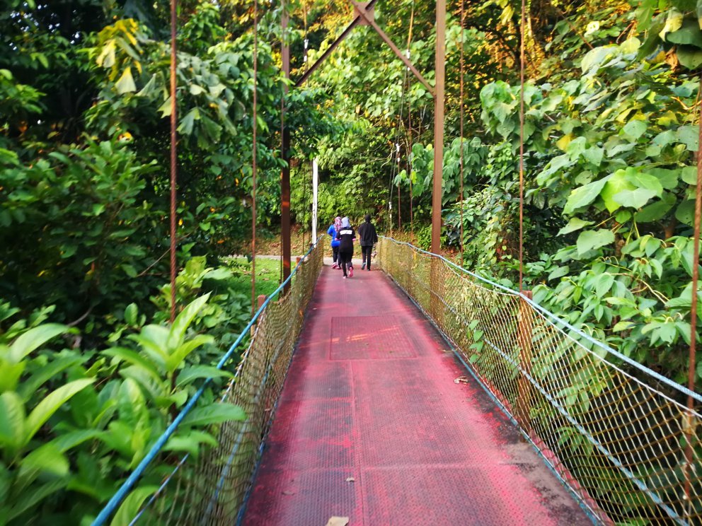 Bukit kiara best sale mountain bike trail