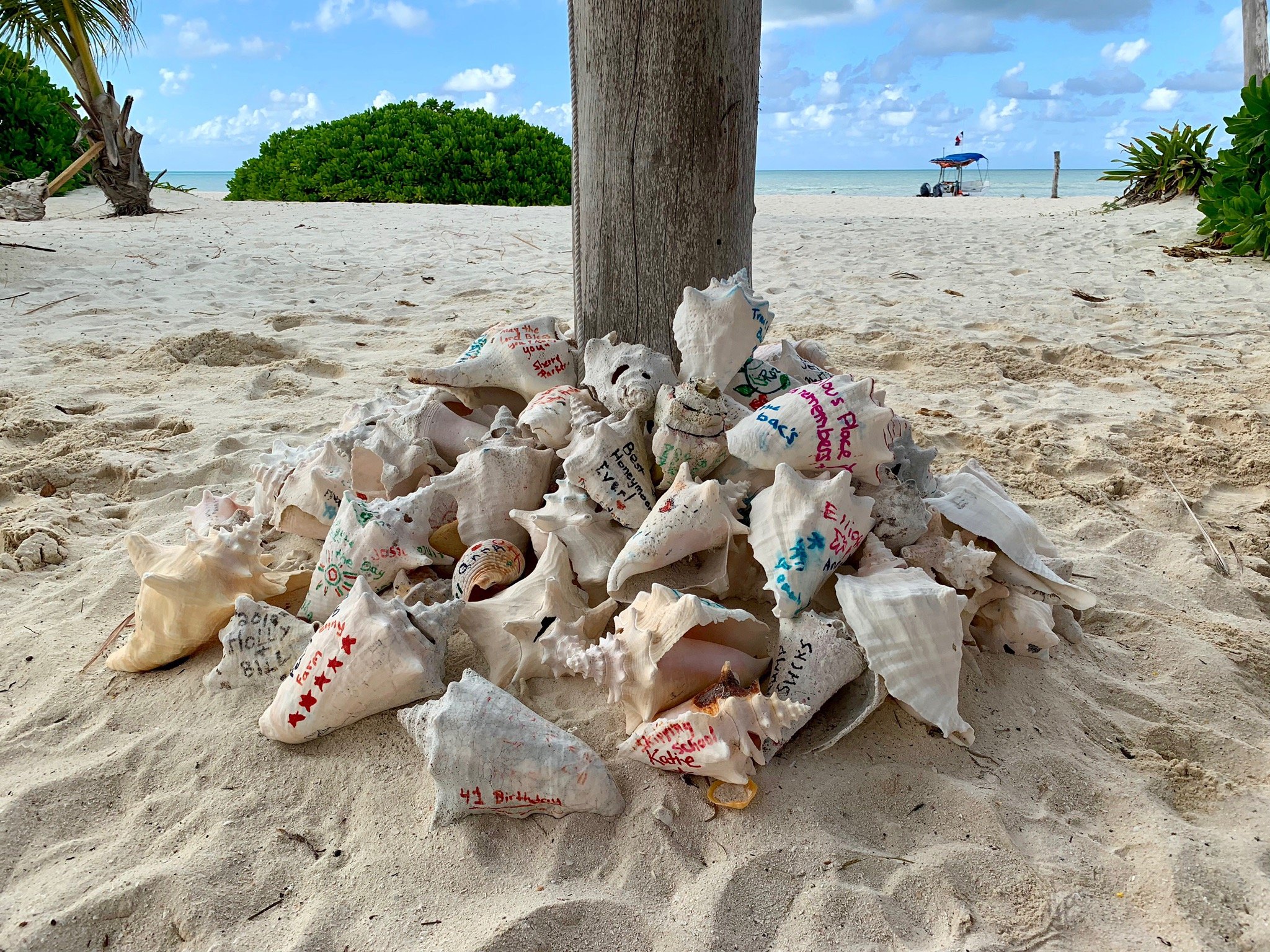 LAS 15 MEJORES Cosas Que Hacer En Cozumel: Actualizado 2021 - Lo Más ...