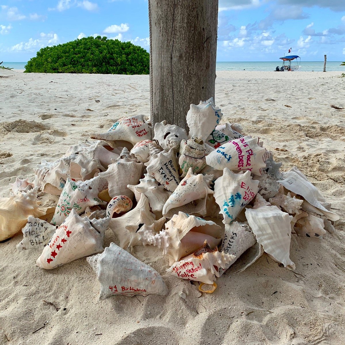 Cozumel Pearl Farm - All You Need to Know BEFORE You Go