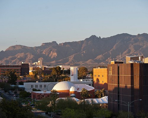 THE 10 BEST Big Group Activities in Tucson (Updated 2023)