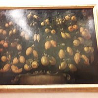 Bartolomeo Bimbi: dozens of lemon cultivars (list below)