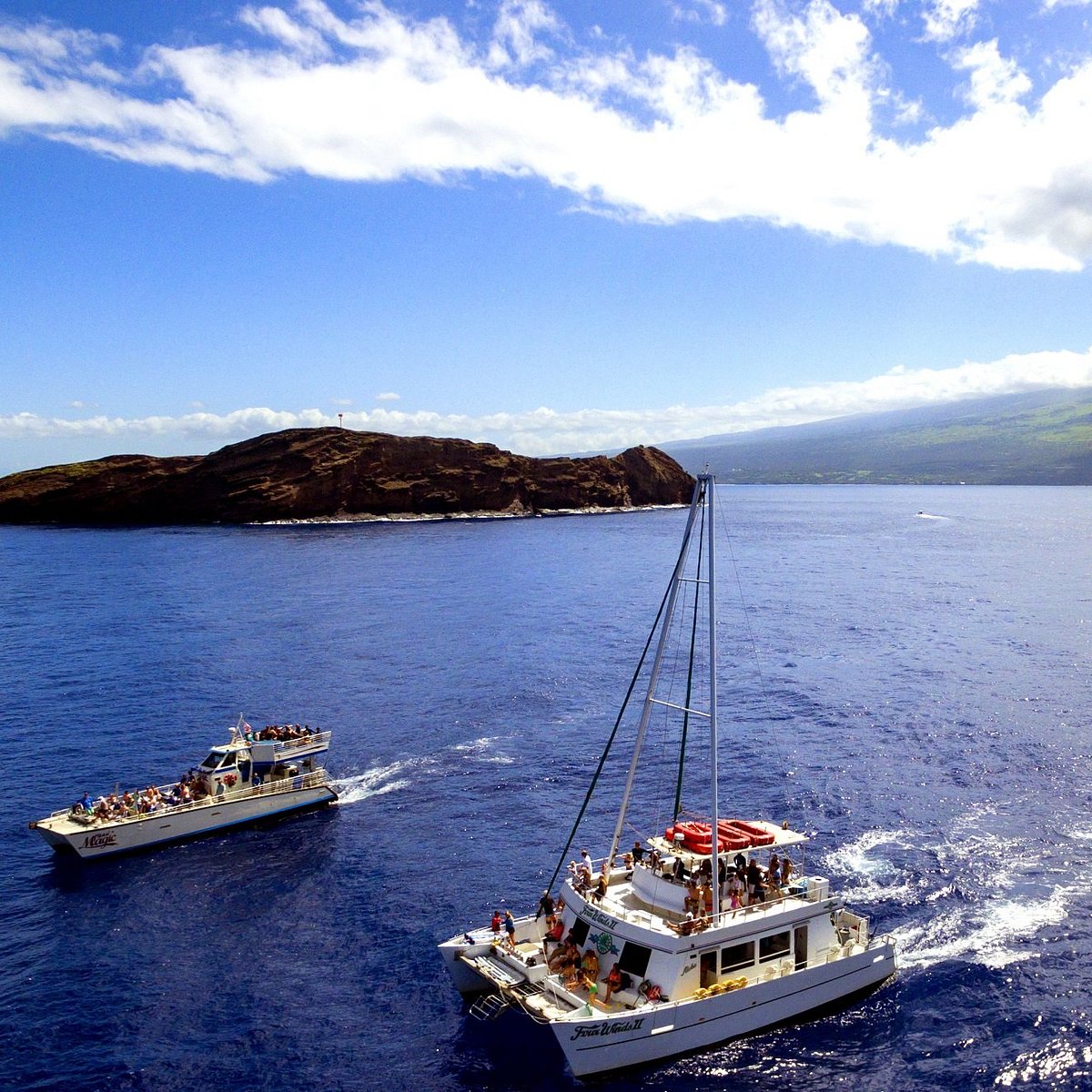 charter tours in maui hawaii