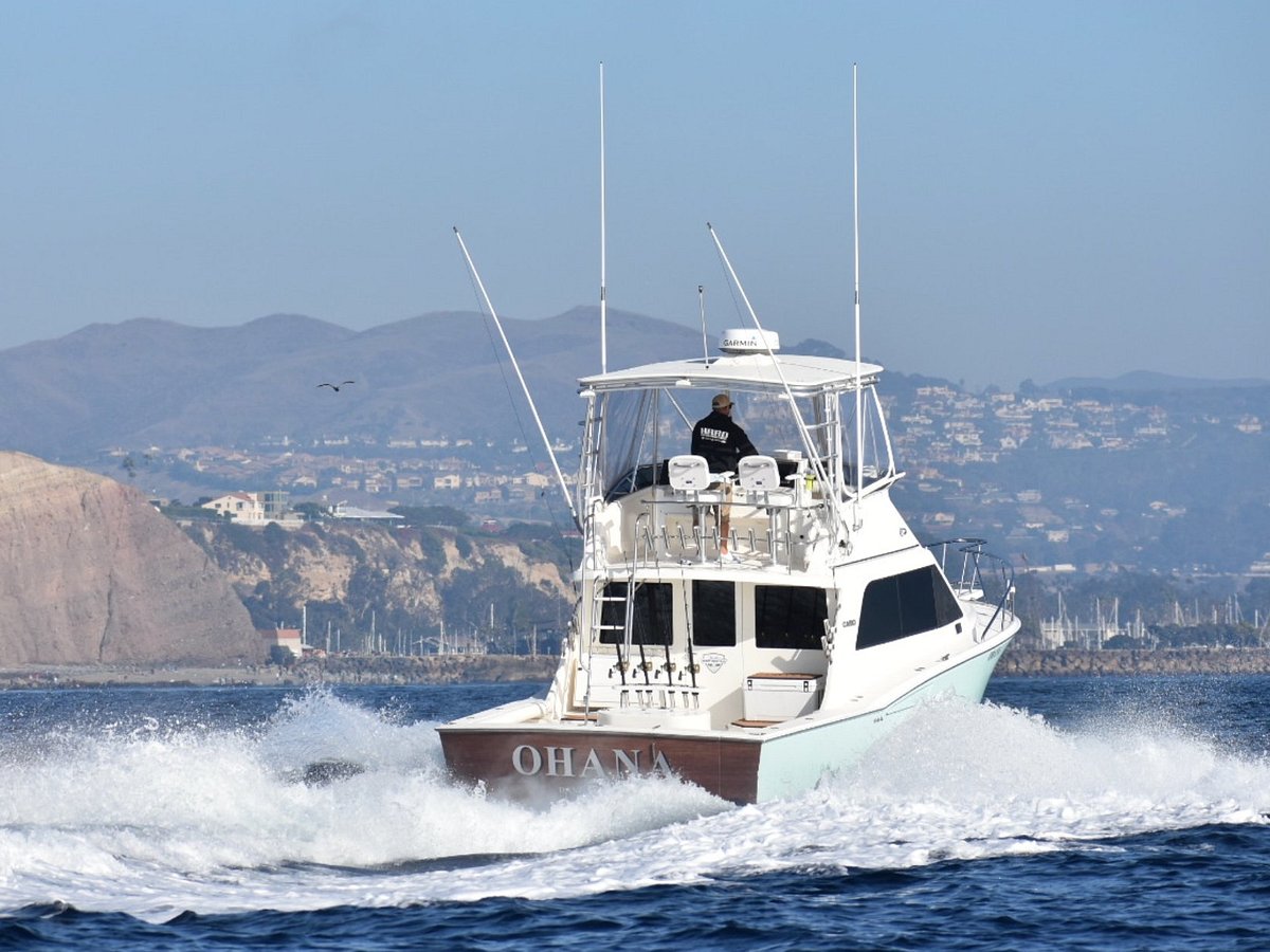 catamaran rental dana point