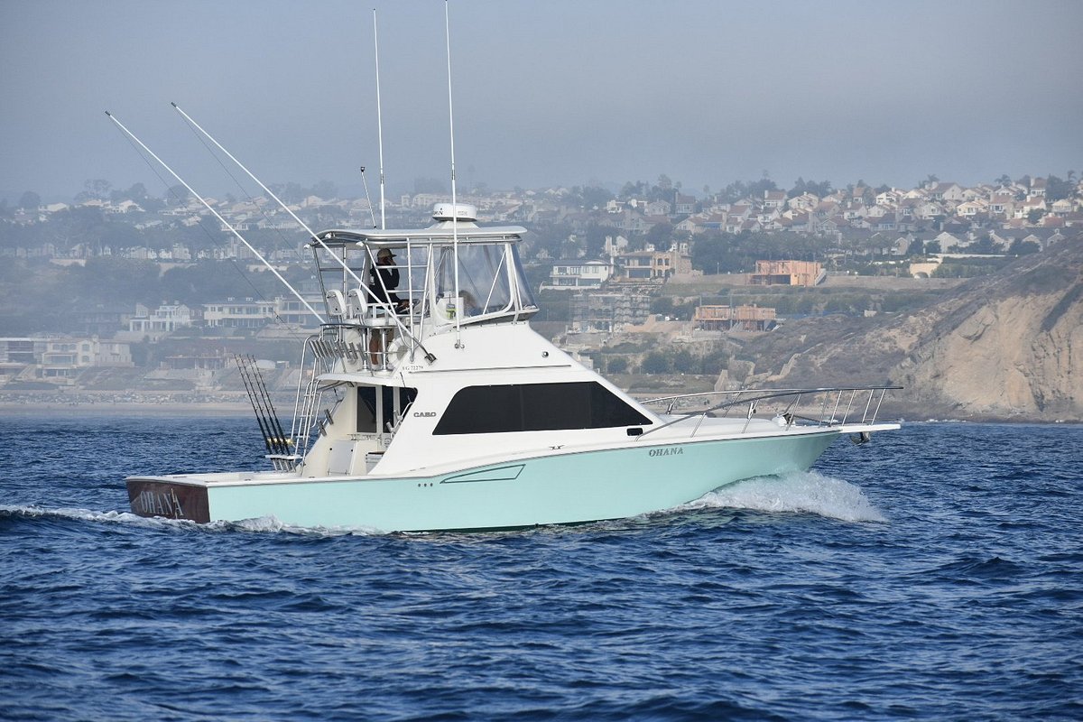 catamaran rental dana point