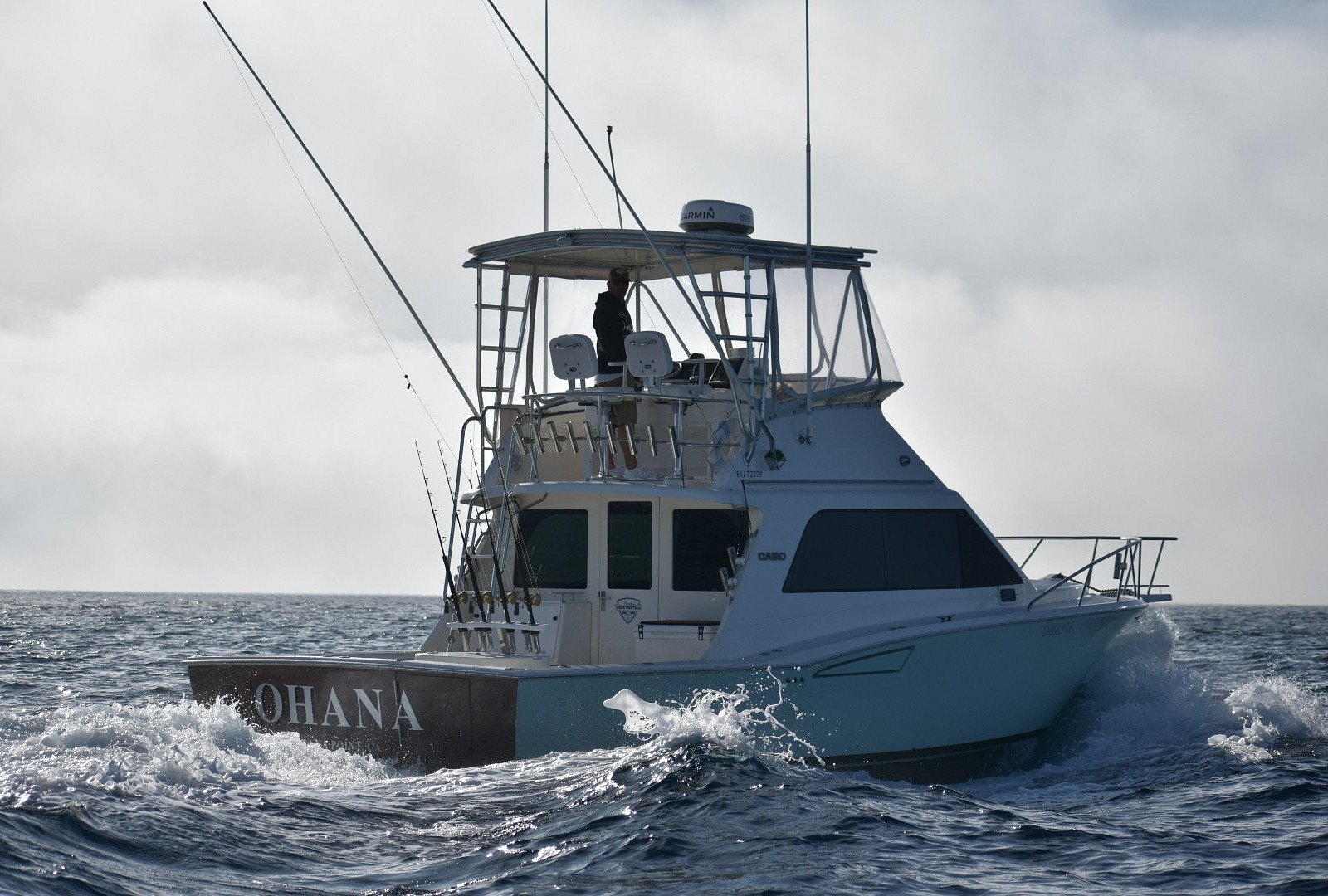 catamaran rental dana point