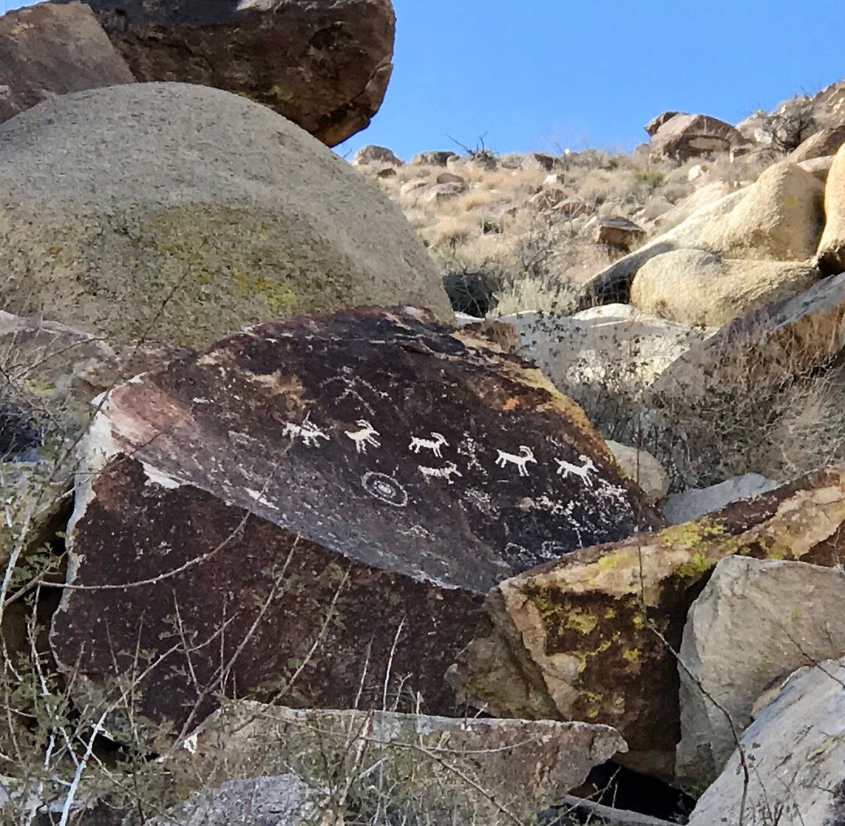 Grapevine Canyon Petroglyph