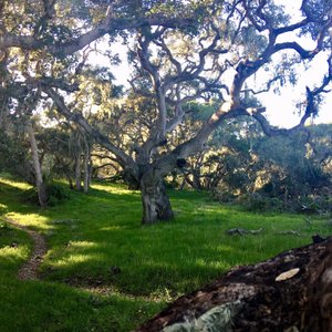 Montana De Oro State Park Los Osos All You Need To Know Before You Go