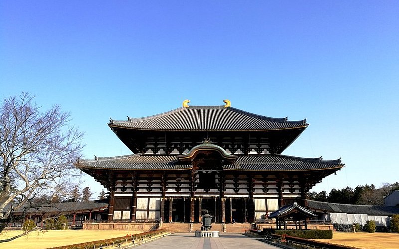 THE 15 BEST Things to Do in Nara - UPDATED 2021 - Must See Attractions