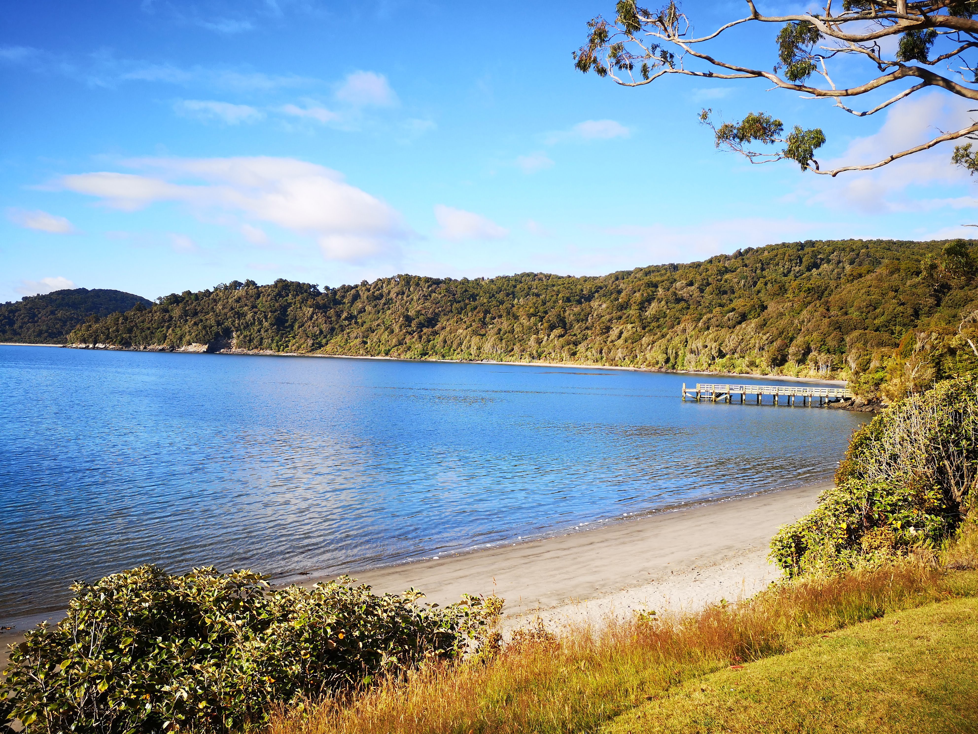 RAKIURA TRACK (Stewart Island) - All You Need To Know BEFORE You Go