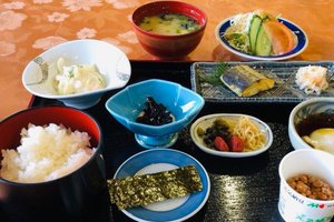 旅行者の写真