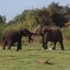 Sri Lanka Manju Taxi and Tours