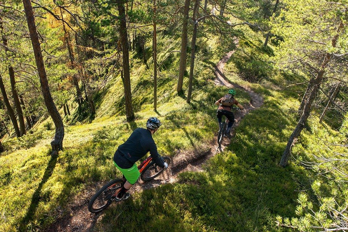 Ridgeline 2024 mtb trail