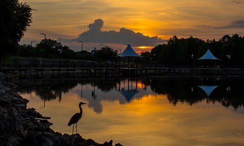 Cranes Roost Park at Sunrise