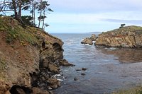 se permiten perros en point lobos