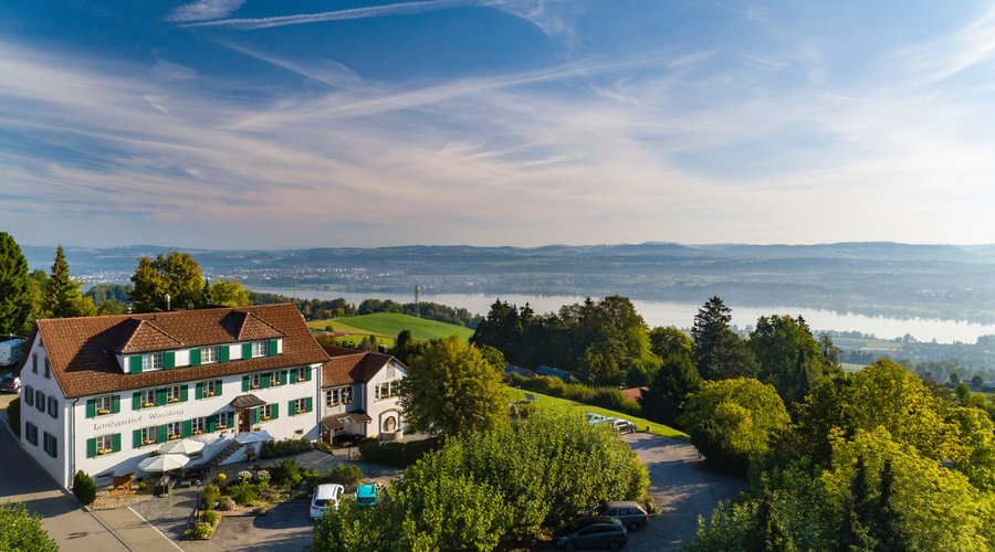 Aussicht auf den Greifensee
